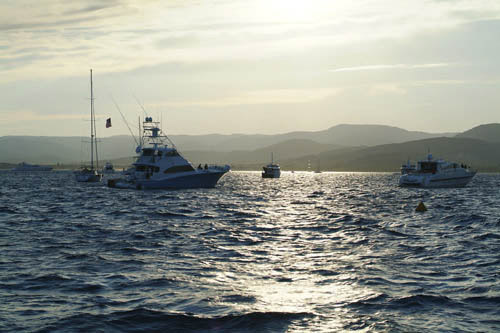 Boats at St Tropez