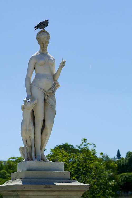 Statue with pigeon, Paris