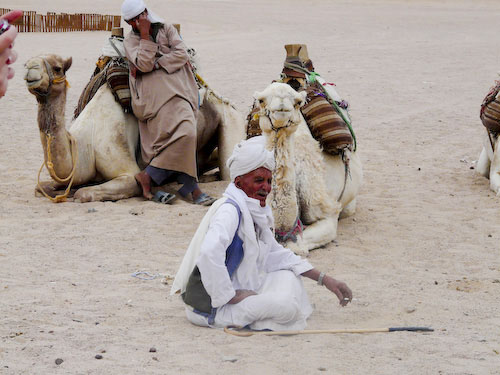 Bedouin man with camel