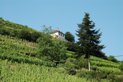 Hotel in vineyard