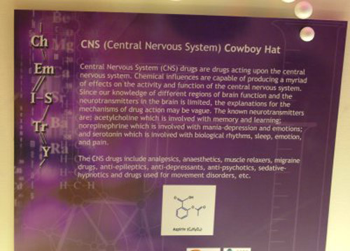 The CNS (Central Nervous System) Cowboy Hat!